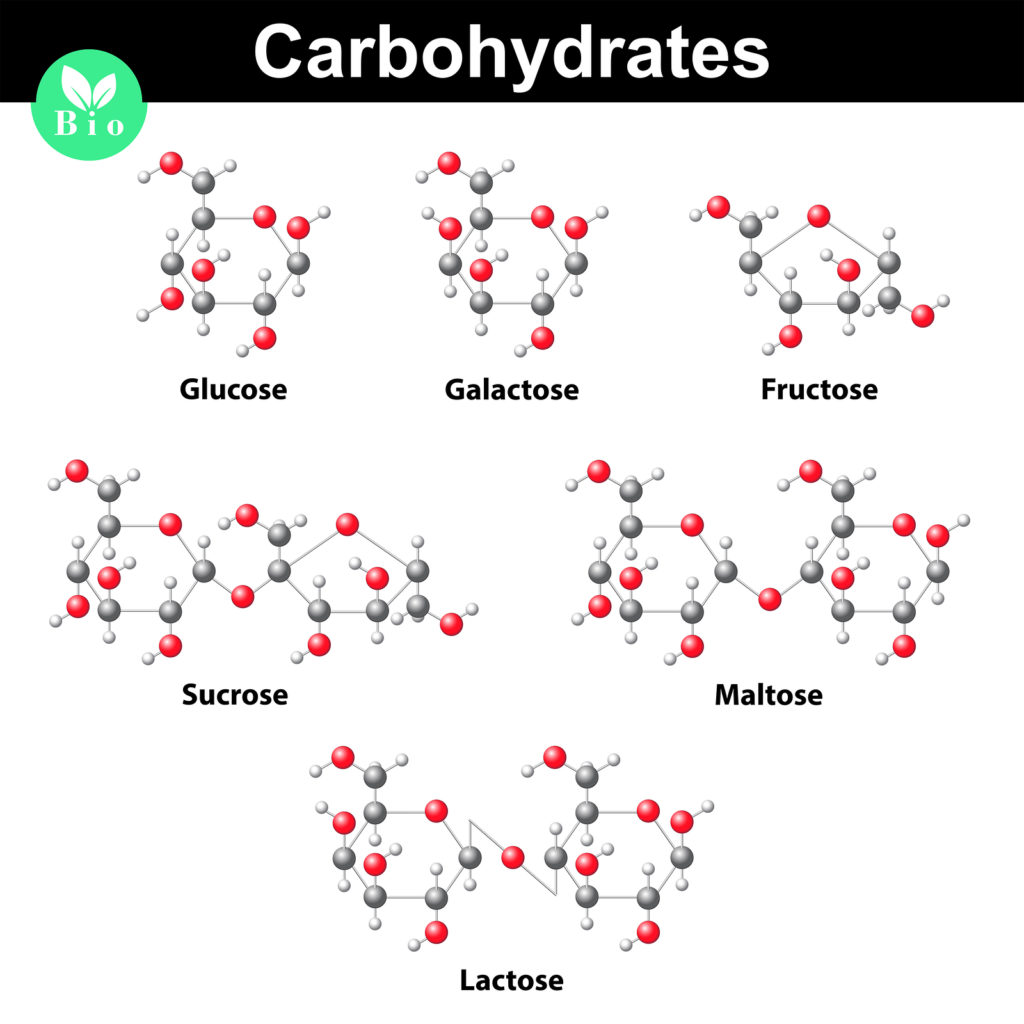 General carbohydrates molecular structures research 3d vector illustration isolated on white background eps 10