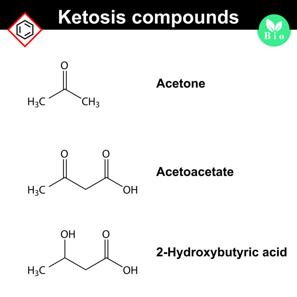 Understanding Ketosis